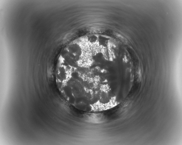 X0000084580663200703161742