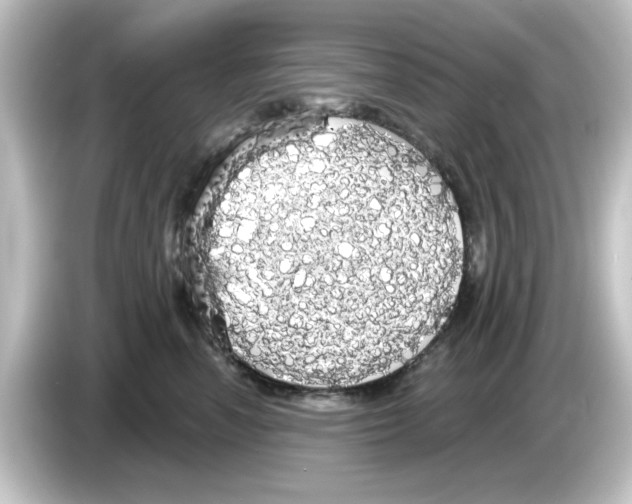 X0000084580666200703161742