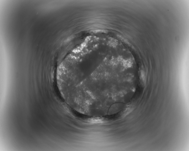 X0000084580668200703161742