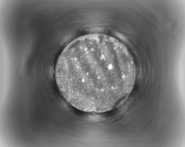 X0000084580669200703161742