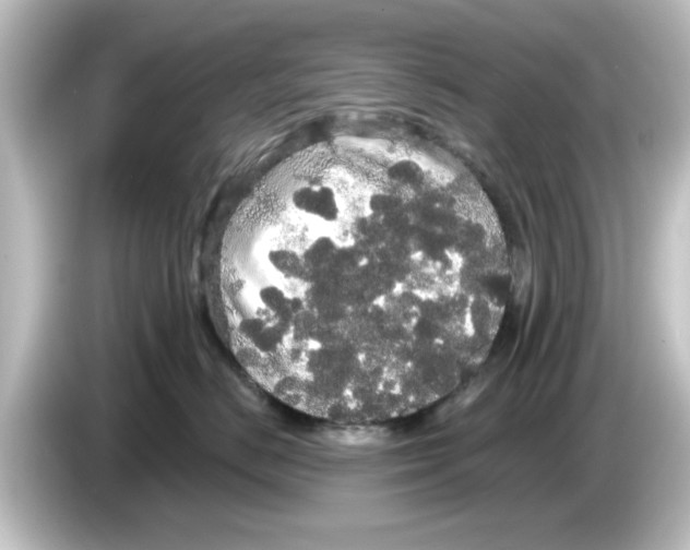 X0000084580670200703161742