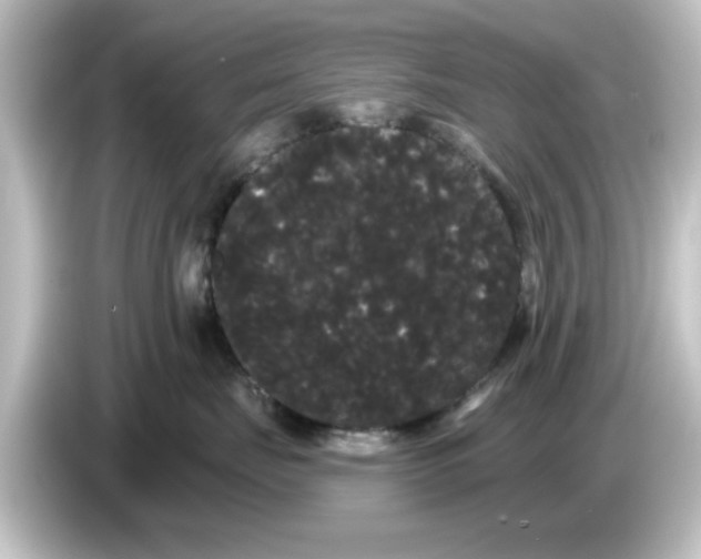 X0000084580671200703161742