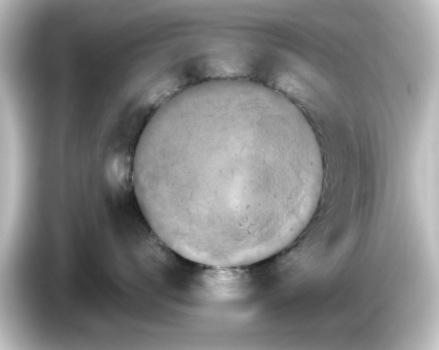 X0000084580672200703161742