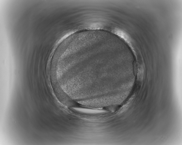 X0000084580673200703161741