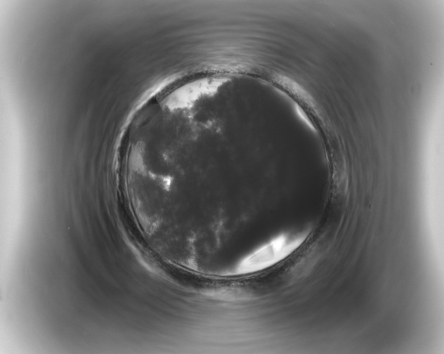 X0000084580674200703161741
