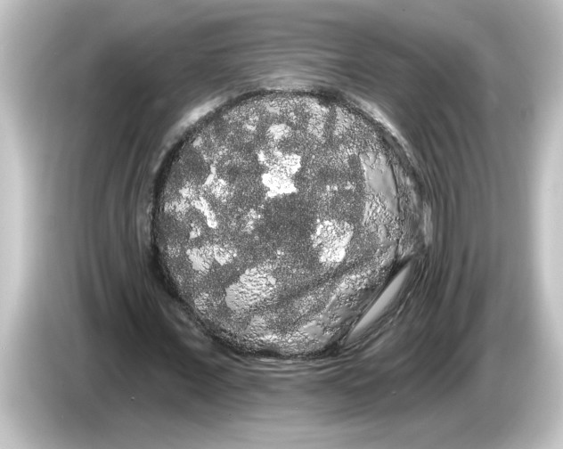 X0000084580675200703161741