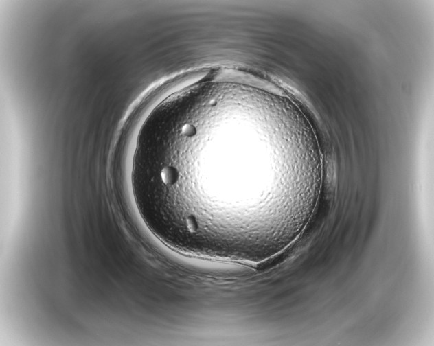 X0000084580676200703161741