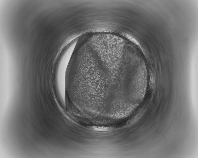 X0000084580677200703161741
