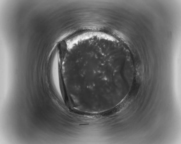 X0000084580679200703161741