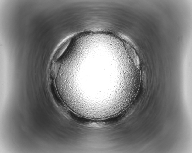 X0000084580680200703161741