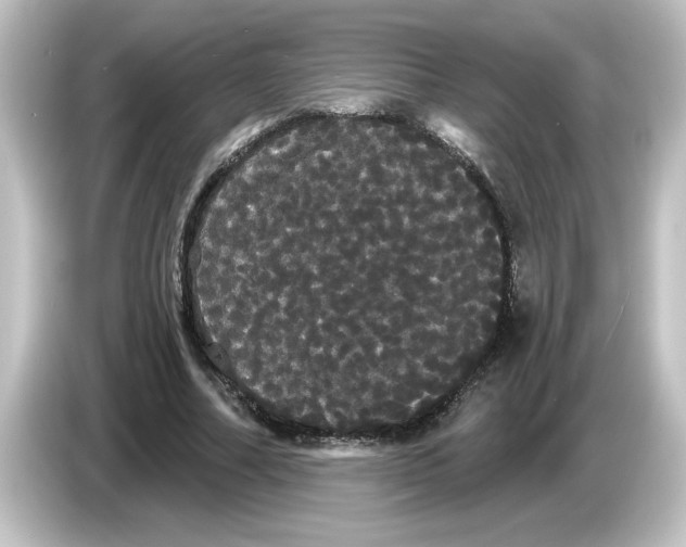X0000084580682200703161741