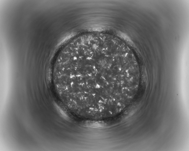 X0000084580683200703161741