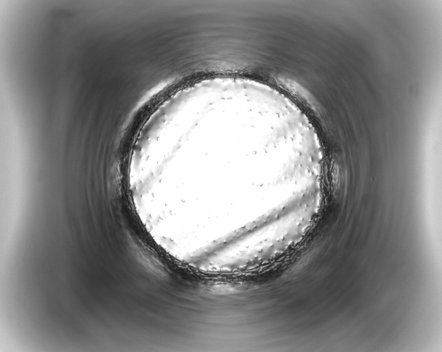 X0000084580684200703161741