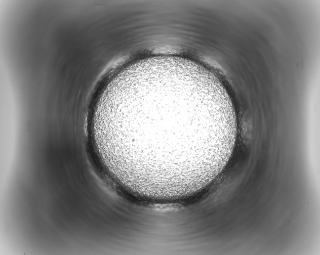 X0000084580686200703161741