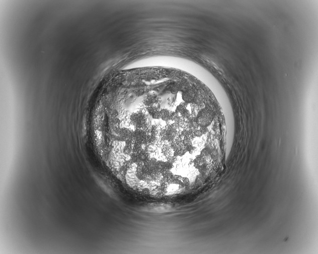X0000084580687200703161741