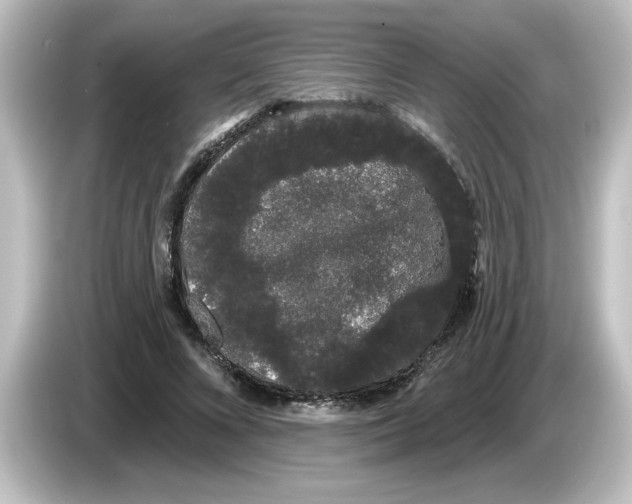 X0000084580688200703161741