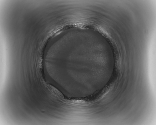 X0000084580689200703161741