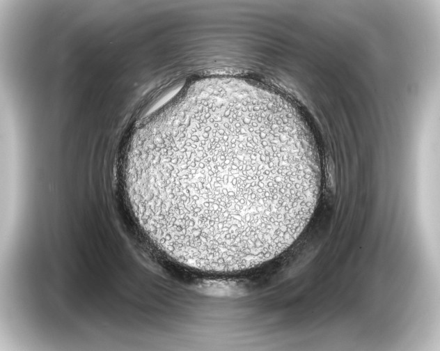 X0000084580690200703161741