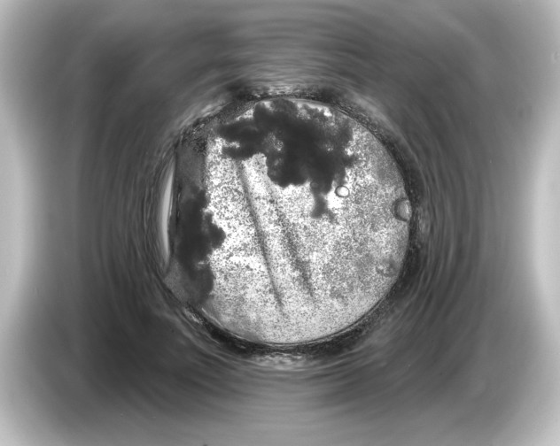 X0000084580691200703161741