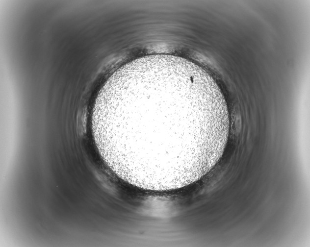 X0000084580694200703161741