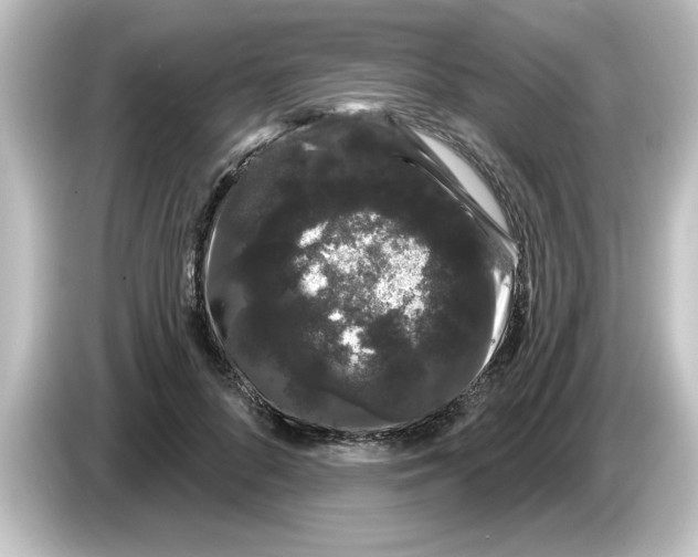 X0000084580696200703161741