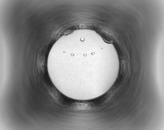 X0000084580698200703161741