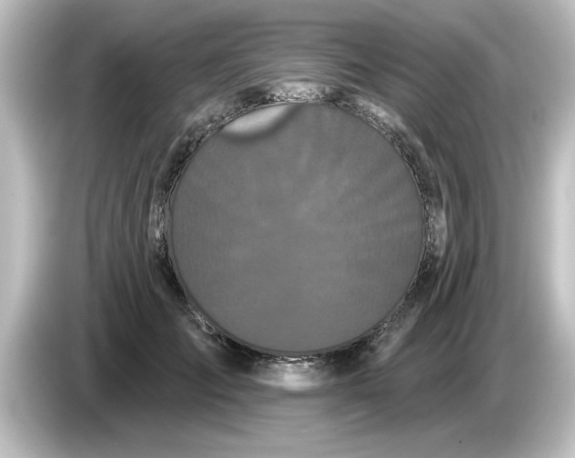 X0000084580701200703161741
