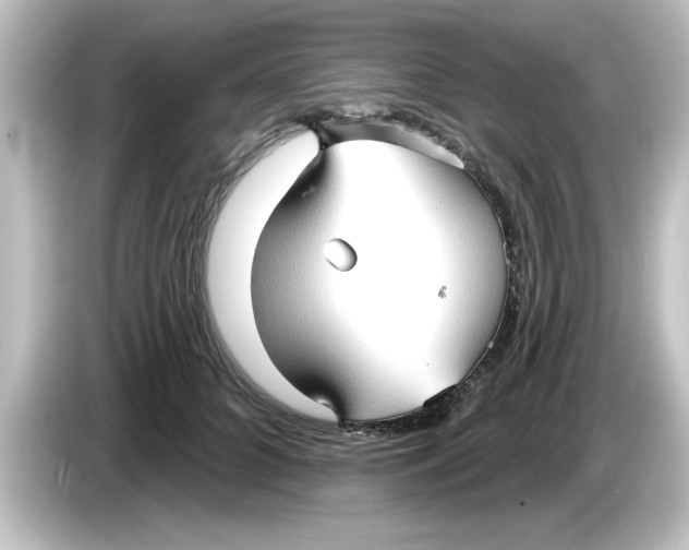 X0000084580704200703161741