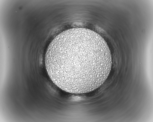 X0000084580706200703161741