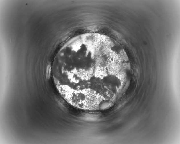 X0000084580707200703161741