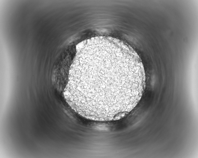 X0000084580710200703161741