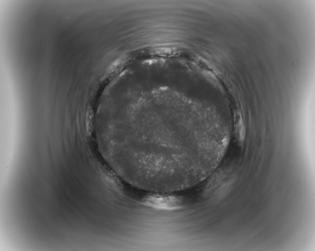 X0000084580712200703161741