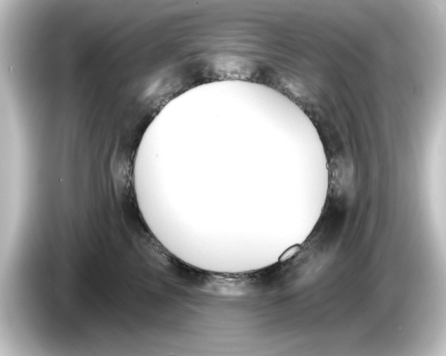 X0000084580713200703161741