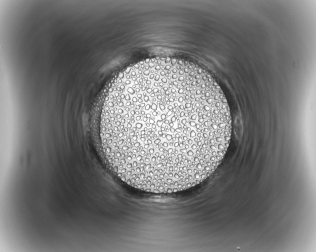 X0000084580714200703161741
