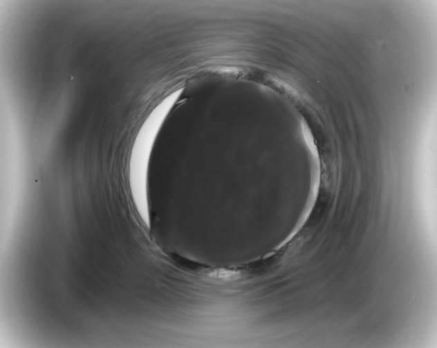 X0000084580718200703161741