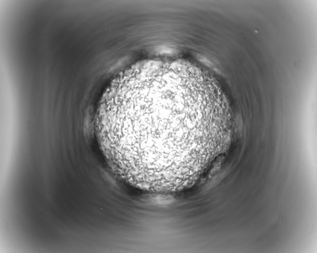 X0000084580719200703161741
