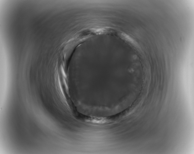 X0000084580720200703161741