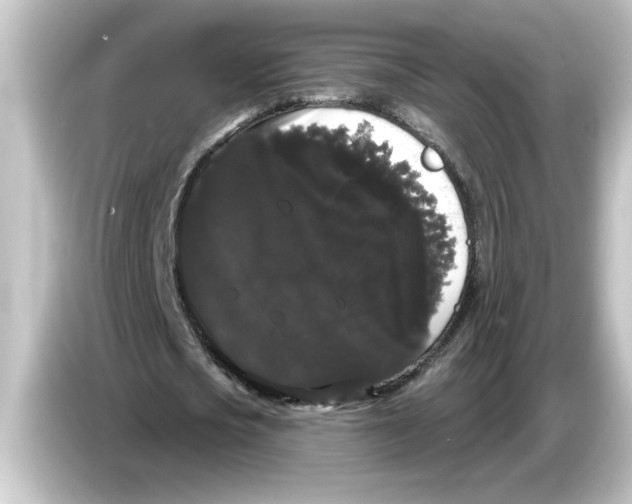 X0000084580721200703161740