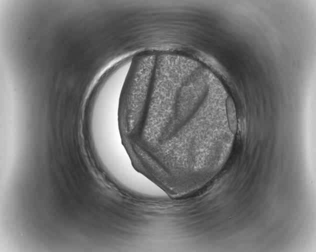 X0000084580724200703161740