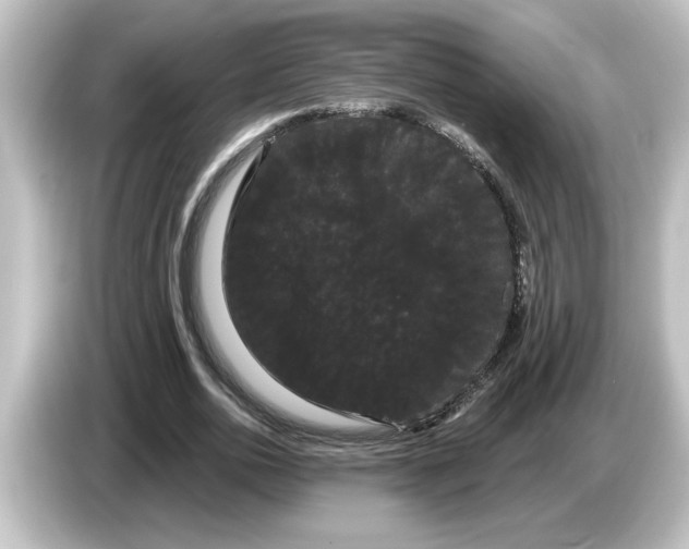 X0000084580726200703161740