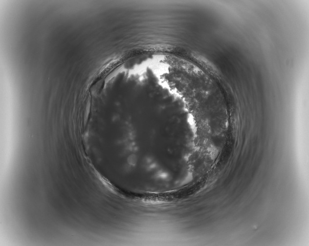 X0000084580729200703161740
