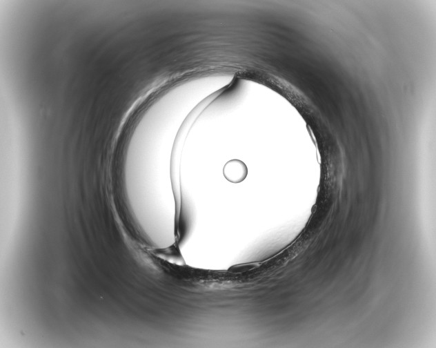 X0000084580730200703161740