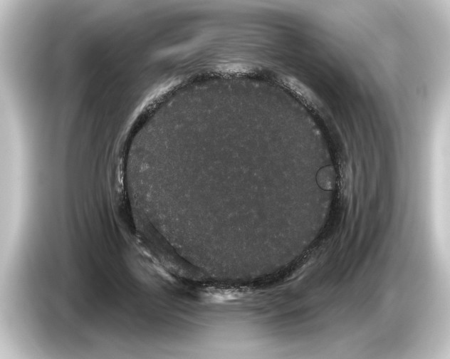 X0000084580731200703161740