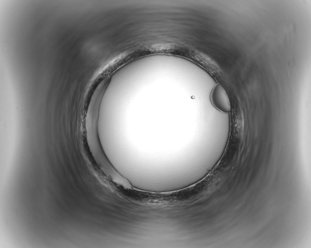 X0000084580732200703161740