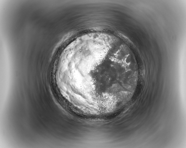 X0000084580734200703161740