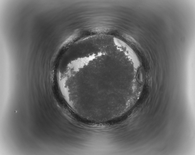 X0000084580735200703161740