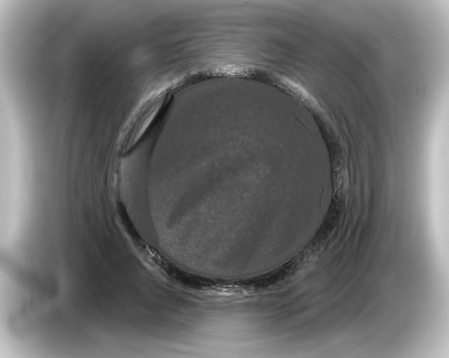 X0000084580736200703161740