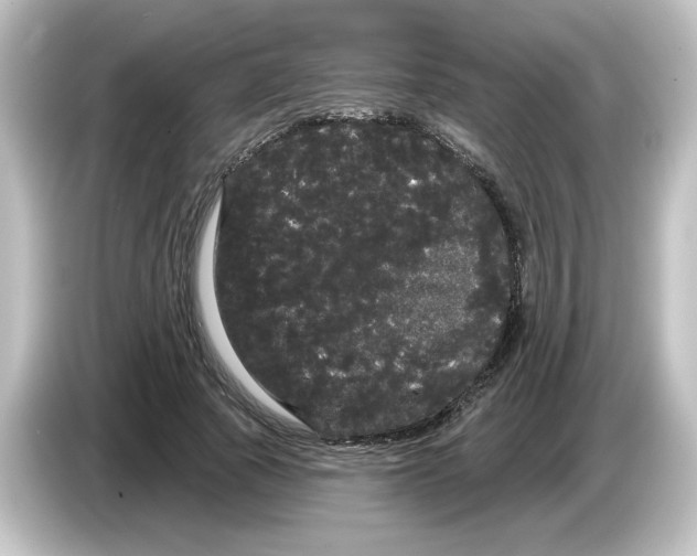 X0000084580737200703161740