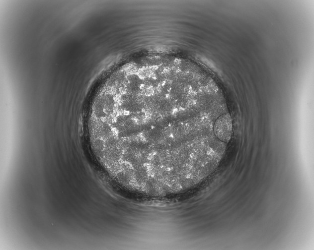 X0000084580738200703161740