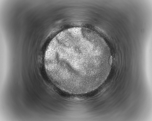 X0000084580739200703161740